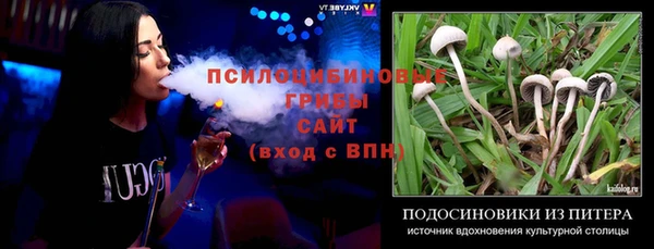 тгк Володарск