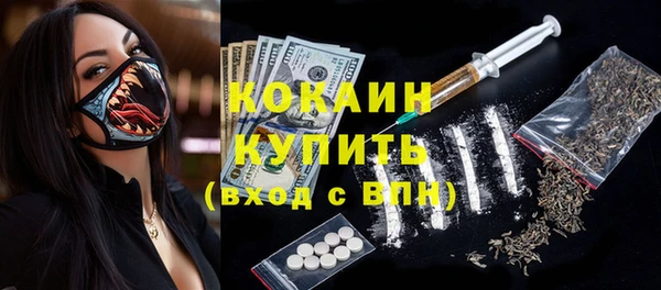 сатива Верея