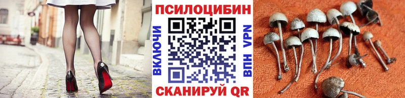 Галлюциногенные грибы Magic Shrooms  купить наркоту  Вольск 