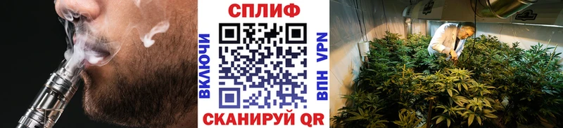 Бошки Шишки THC 21%  shop официальный сайт  Вольск 